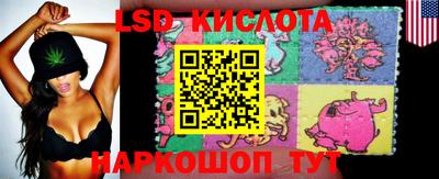 прущие грибы Ирбит