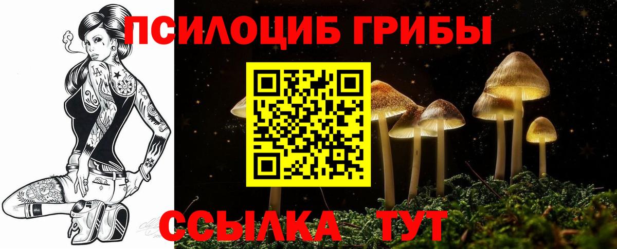 Галлюциногенные грибы Magic Shrooms  Вход с VPN  Кыштым  Галлюциногенные грибы GOLDEN TEACHER 